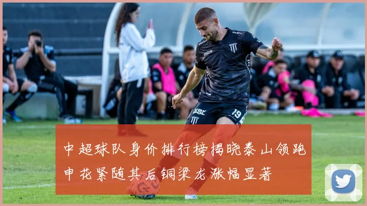 中超球队身价排行榜揭晓泰山领跑申花紧随其后铜梁龙涨幅显著